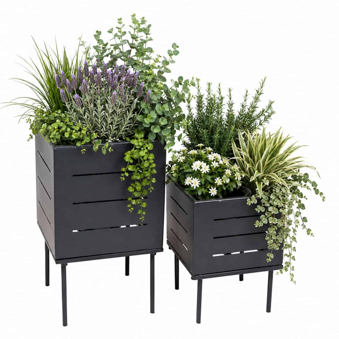 96911690 Nowa Plantenset 1