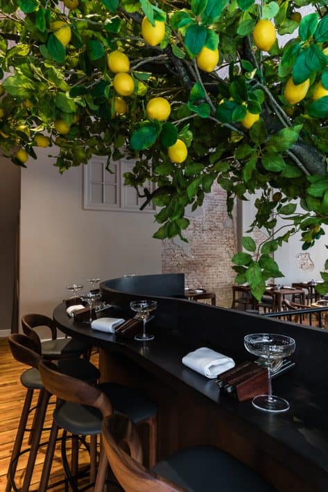 The Lemon Tree (Deventer)