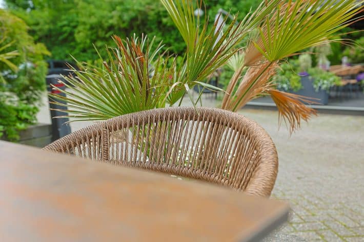 Aparthotel Terras (Delden)