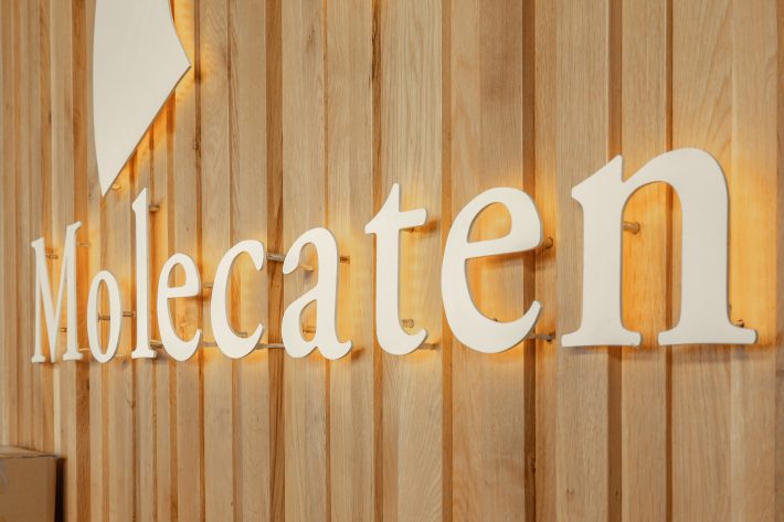 Vakantiepark Molecaten Waterdunen (Breskens)
