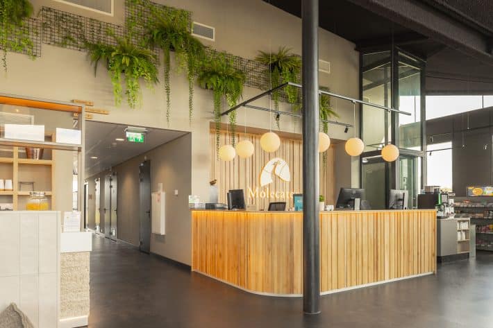 Vakantiepark Molecaten Waterdunen (Breskens)